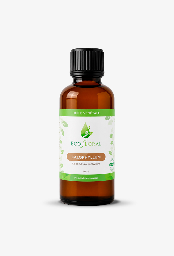 Huile végétale de Calophylle (Tamanu)